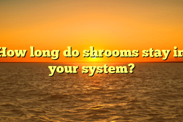 How long do shrooms stay in your system?