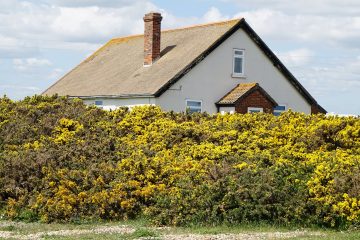 How Often Should You Inspect Your Chimney Crown? A Maintenance Guide