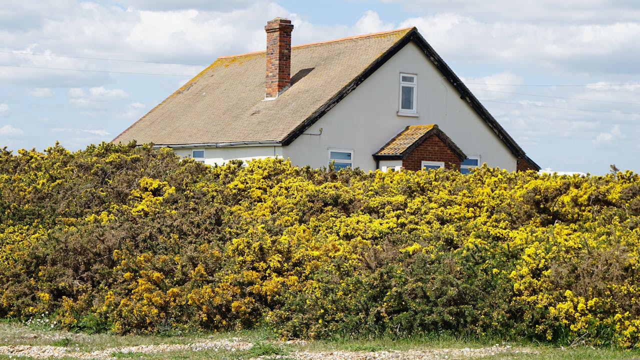 How Often Should You Inspect Your Chimney Crown? A Maintenance Guide